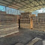 Hrastova daska za burad